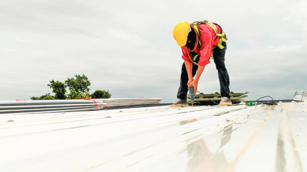 Best Commercial Roofing Services  in Monte Vista, CO