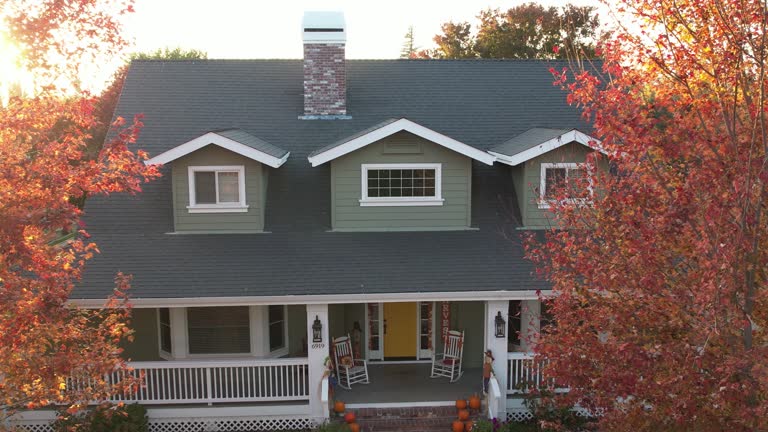 Best Roof Maintenance and Cleaning  in Monte Vista, CO