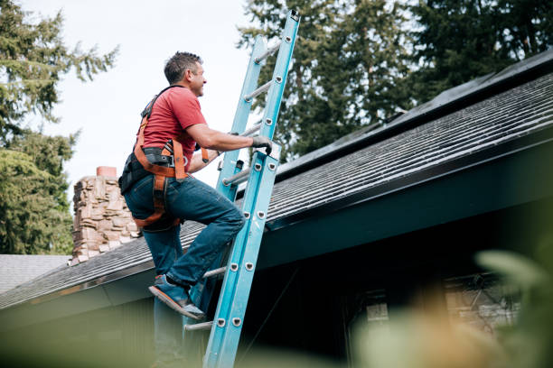 Best Metal Roofing Installation  in Monte Vista, CO